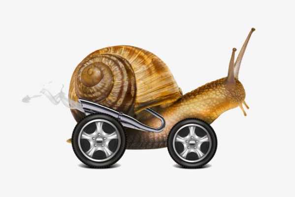 蜗牛跑车图片（蜗牛跑车动画片）-图2