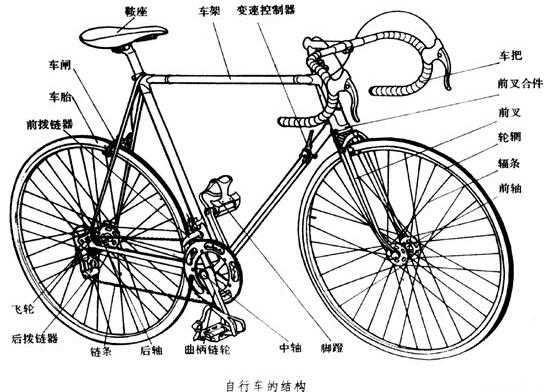 自行车轮驱动原理（自行车的驱动轮是哪个）