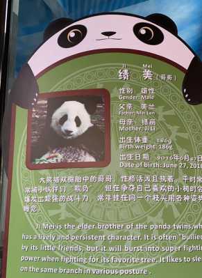 熊猫优惠西安（熊猫优惠码）